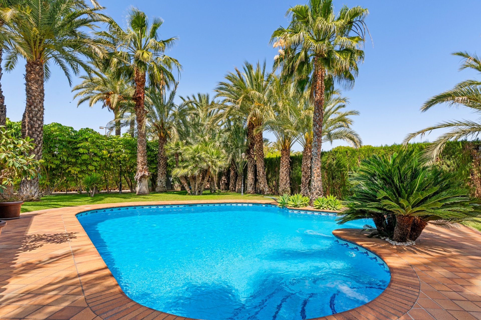 Revente - Villa - Elche - Elche/Elx