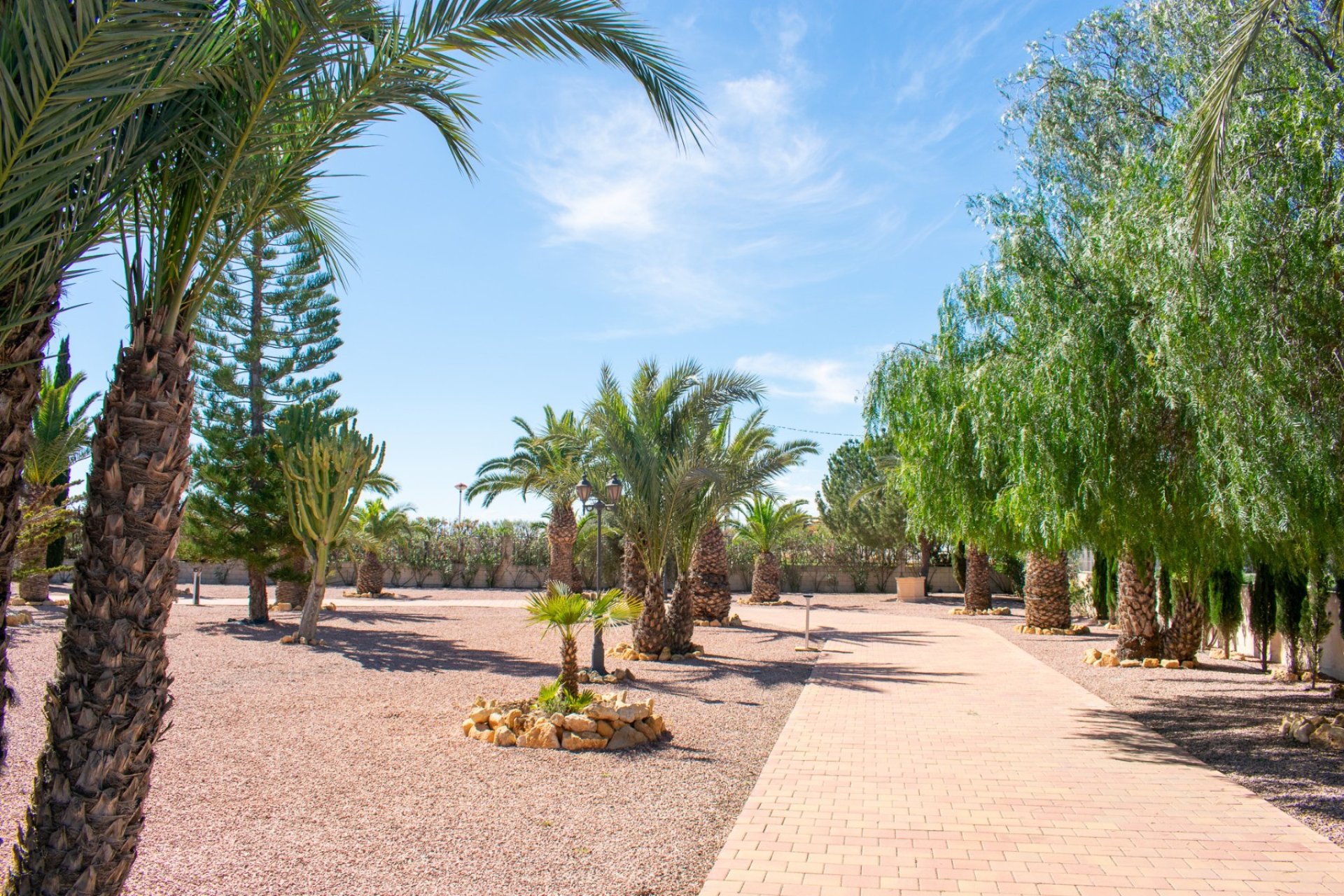 Revente - Villa - Elche - La Marina