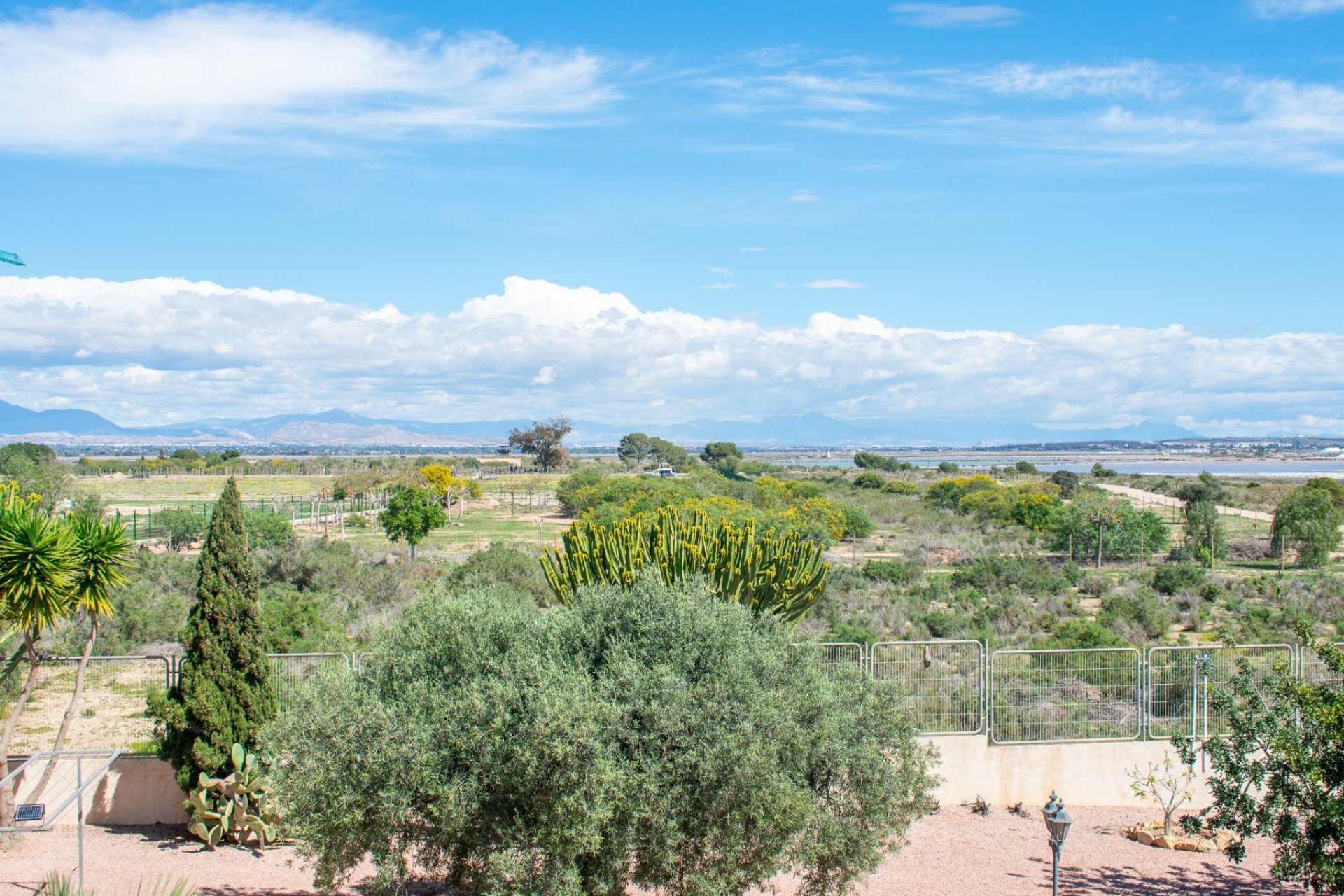 Revente - Villa - Elche - La Marina