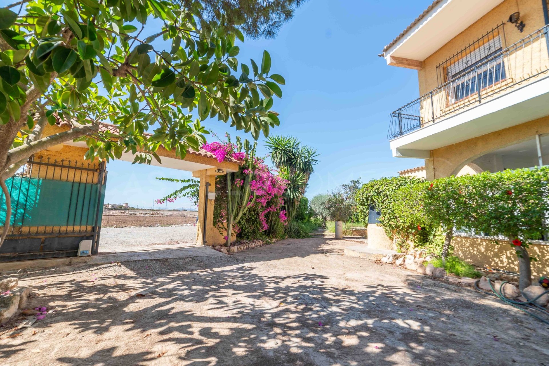 Revente - Villa - Los Montesinos - Montesinos
