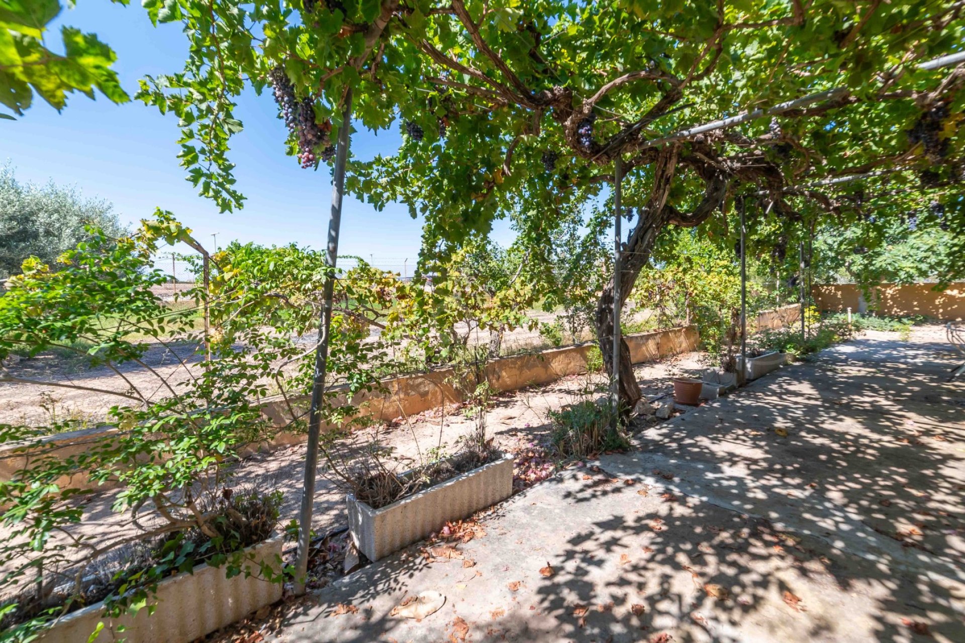 Revente - Villa - Los Montesinos - Montesinos