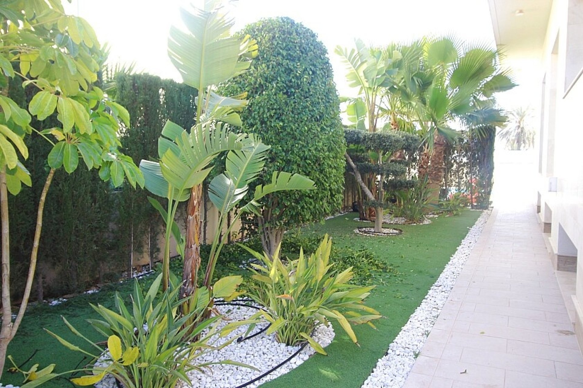 Revente - Villa - Orihuela Costa - La Zenia