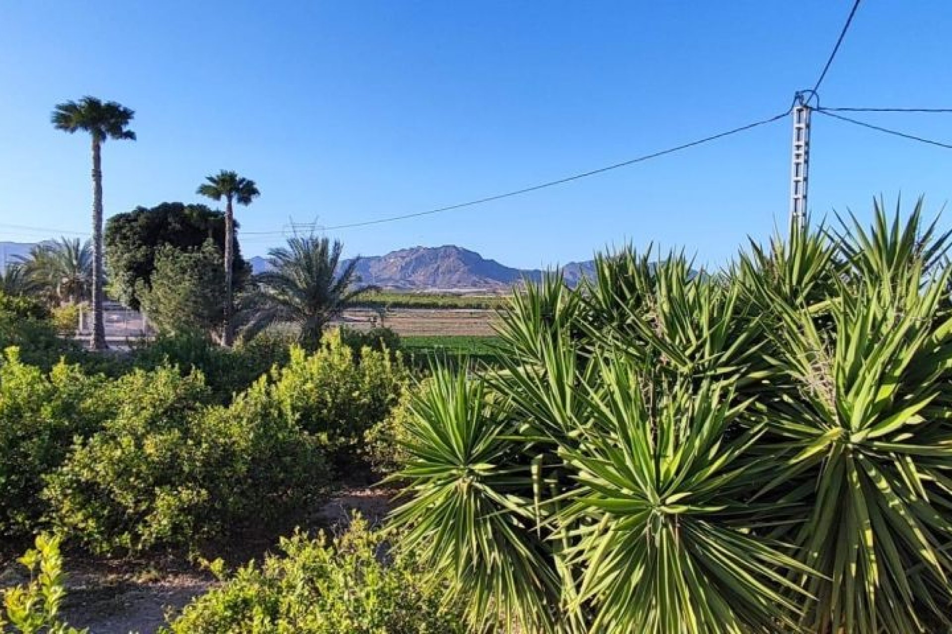 Revente - Villa - Orihuela Costa - Orihuela