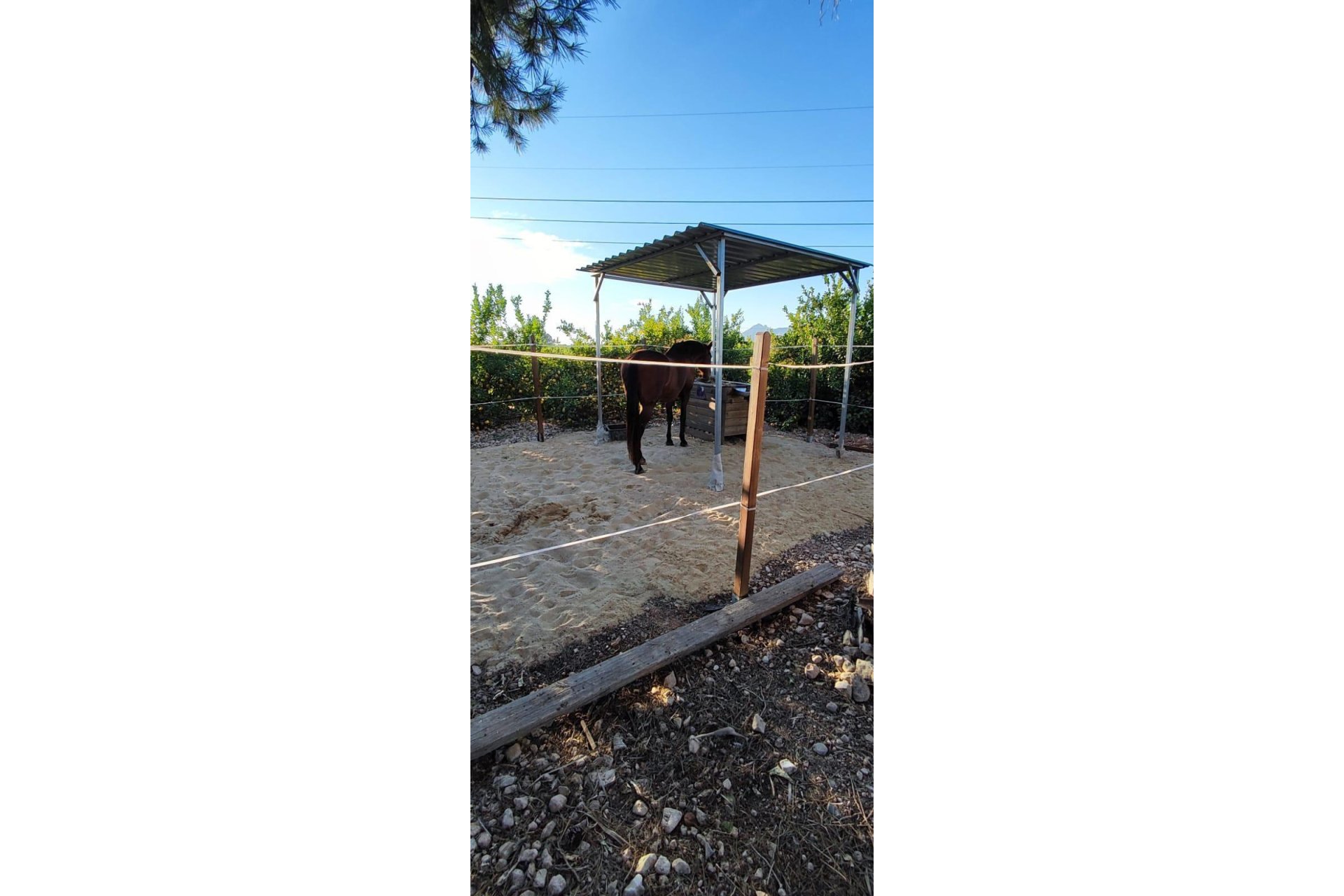 Revente - Villa - Orihuela Costa - Orihuela