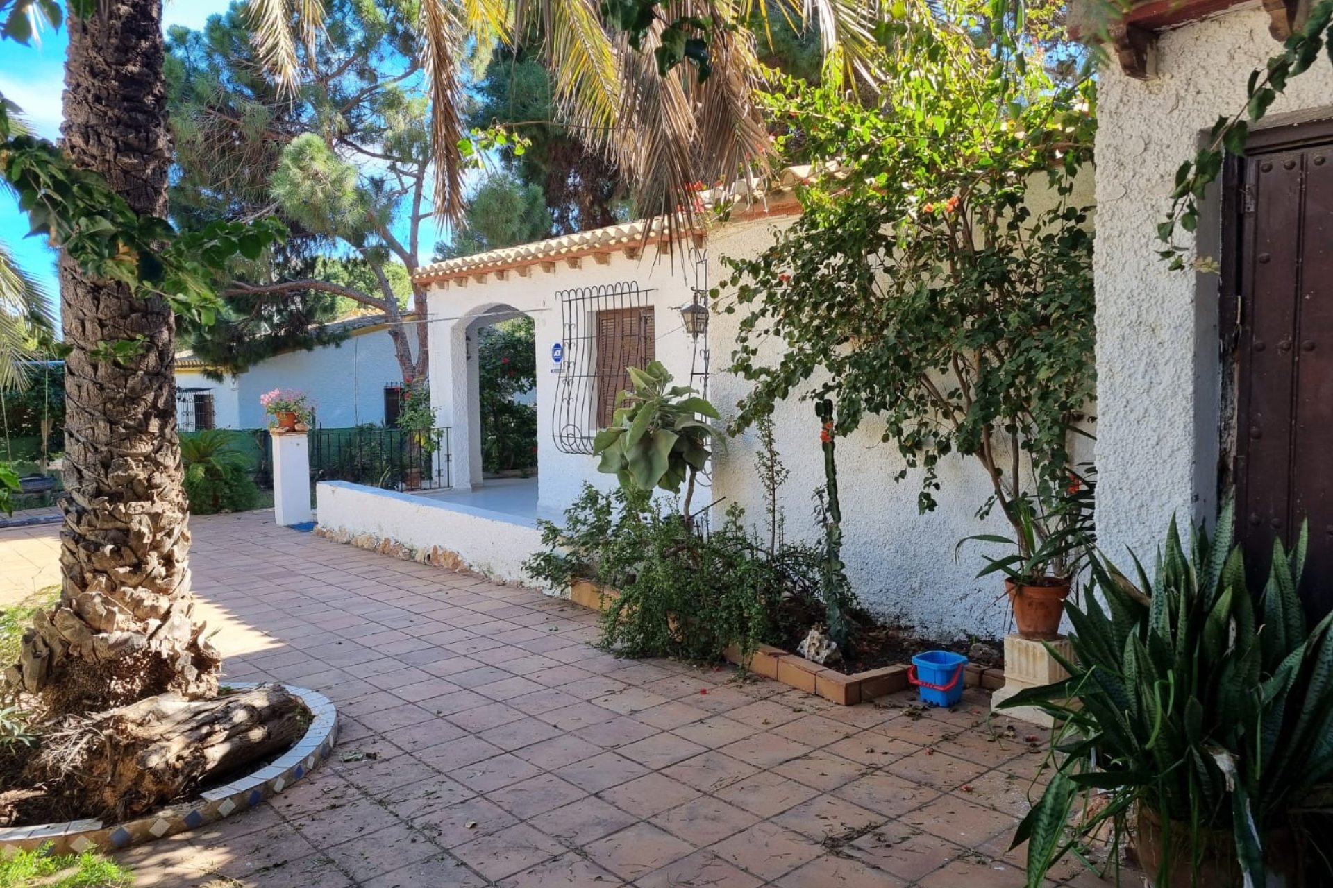 Revente - Villa - Orihuela Costa - Punta Prima