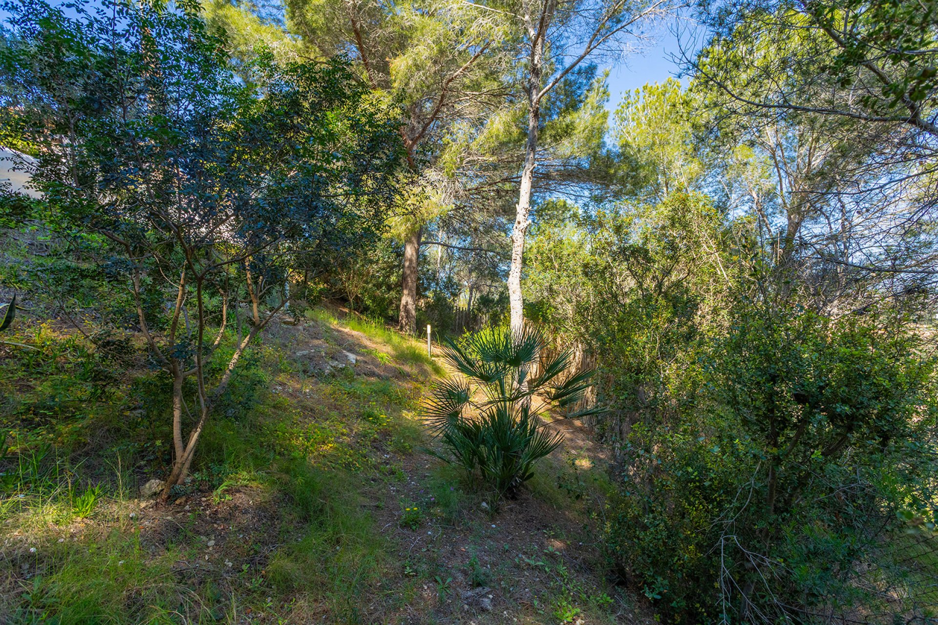 Revente - Villa - Orihuela - Orihuela Costa