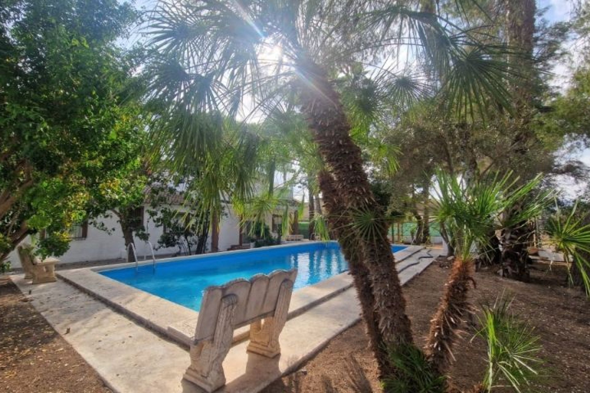 Revente - Villa - Orihuela