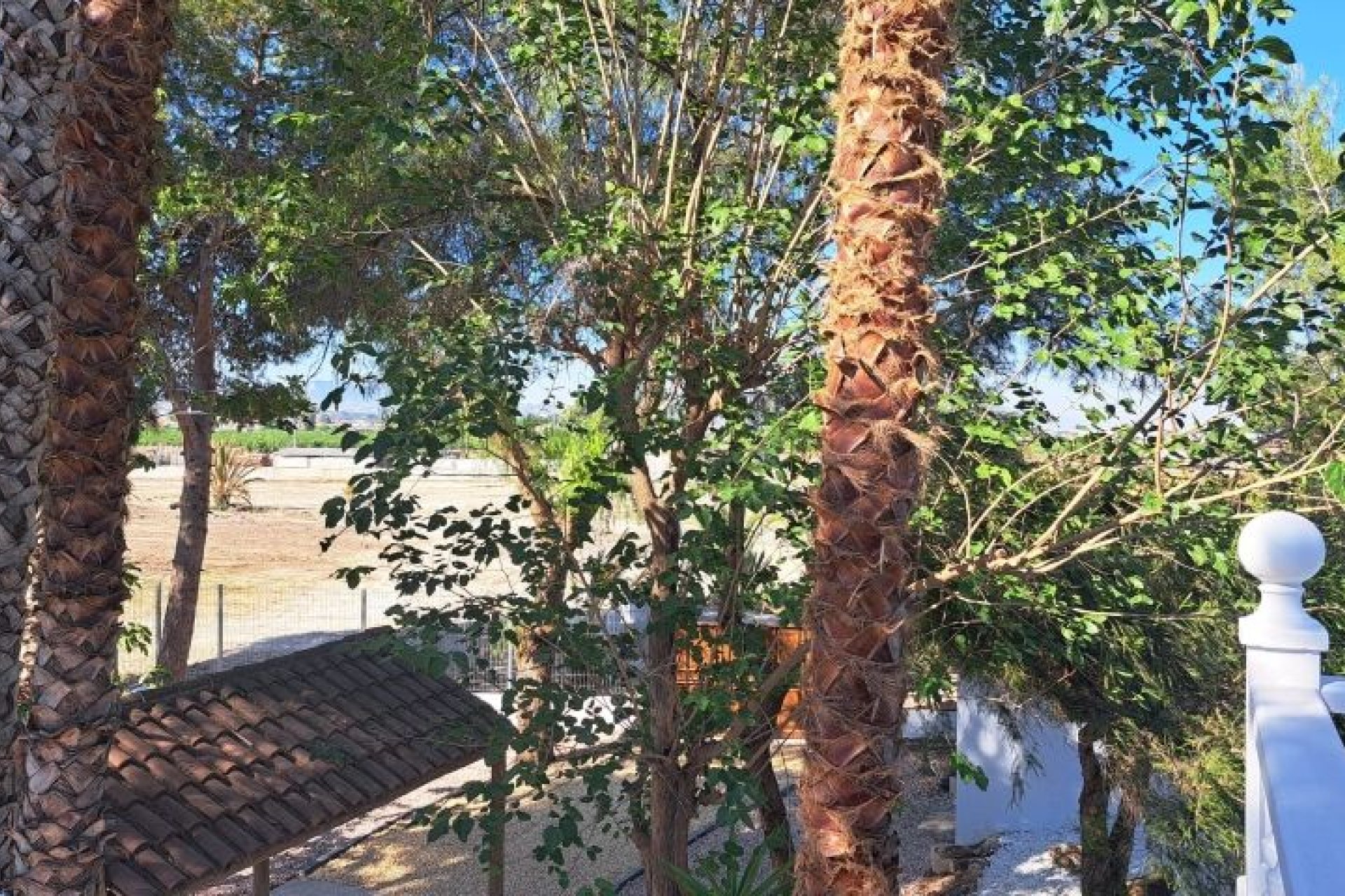 Revente - Villa - Orihuela