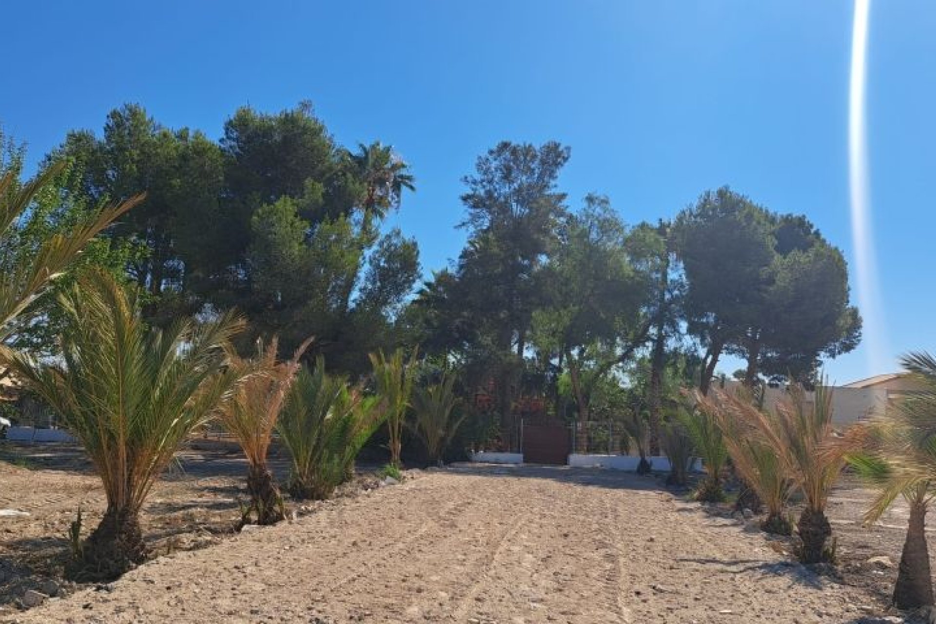 Revente - Villa - Orihuela