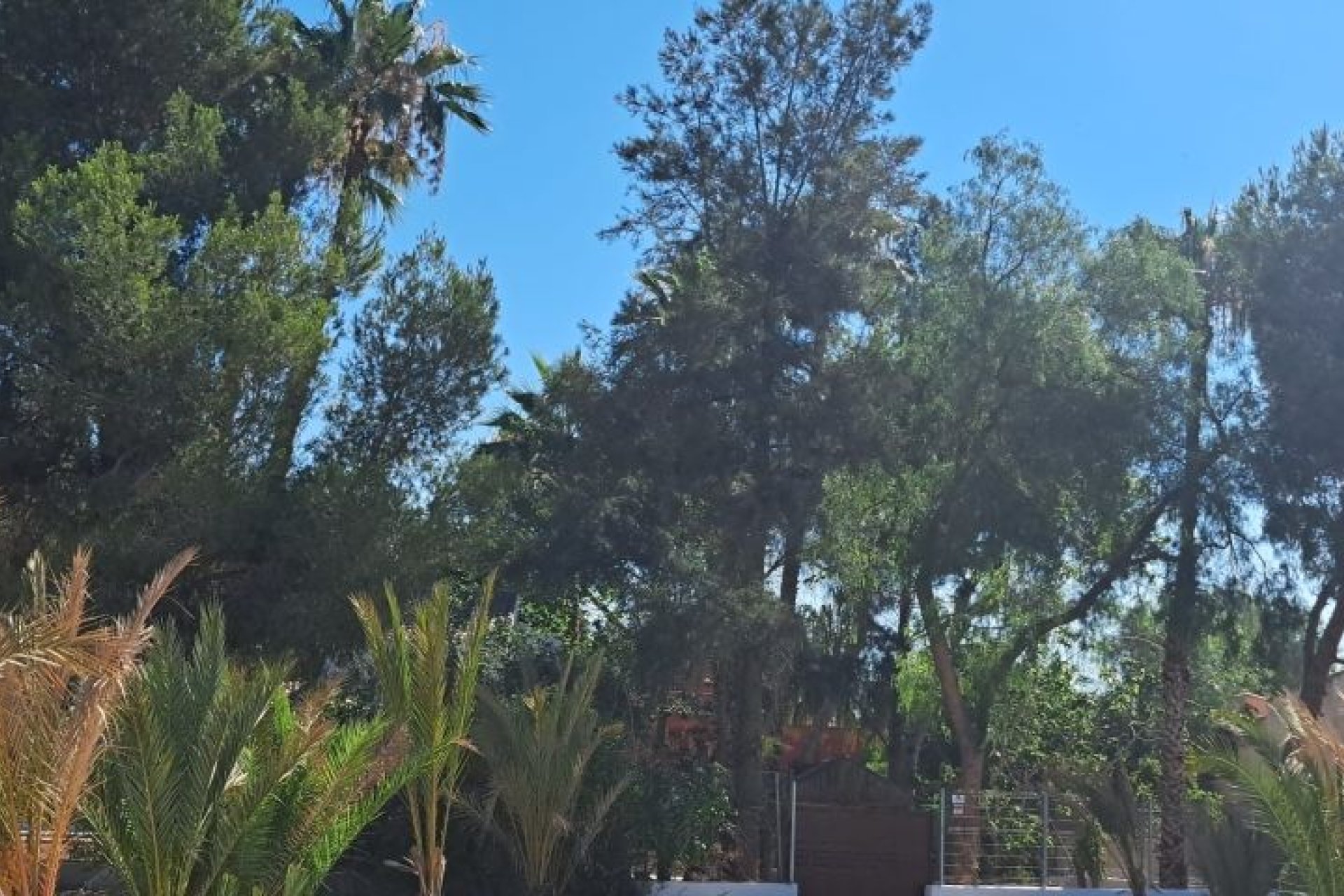 Revente - Villa - Orihuela