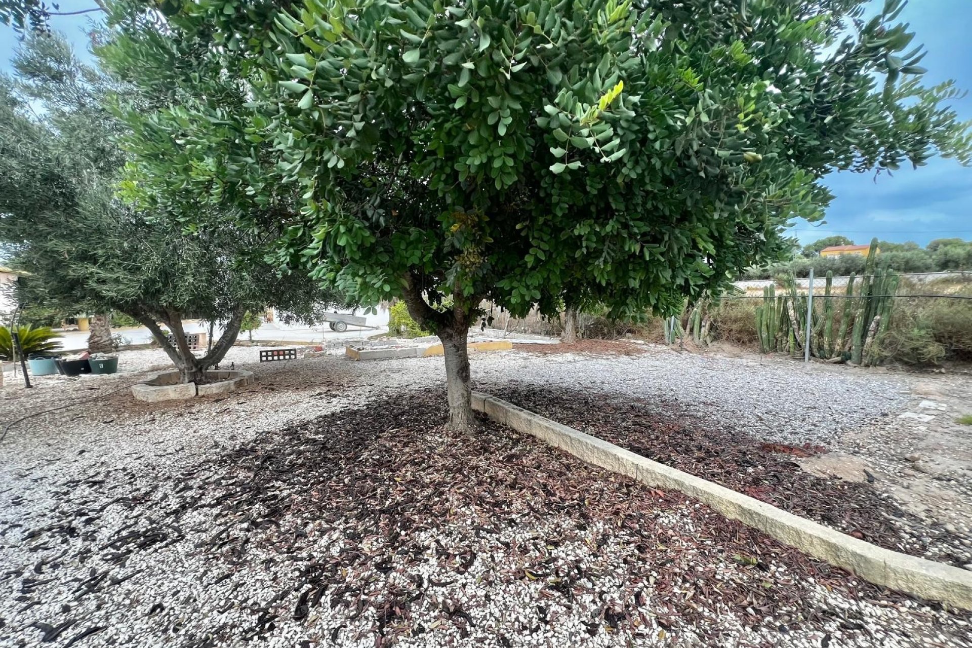 Revente - Villa - San Fulgencio - San Fulgencio - Country