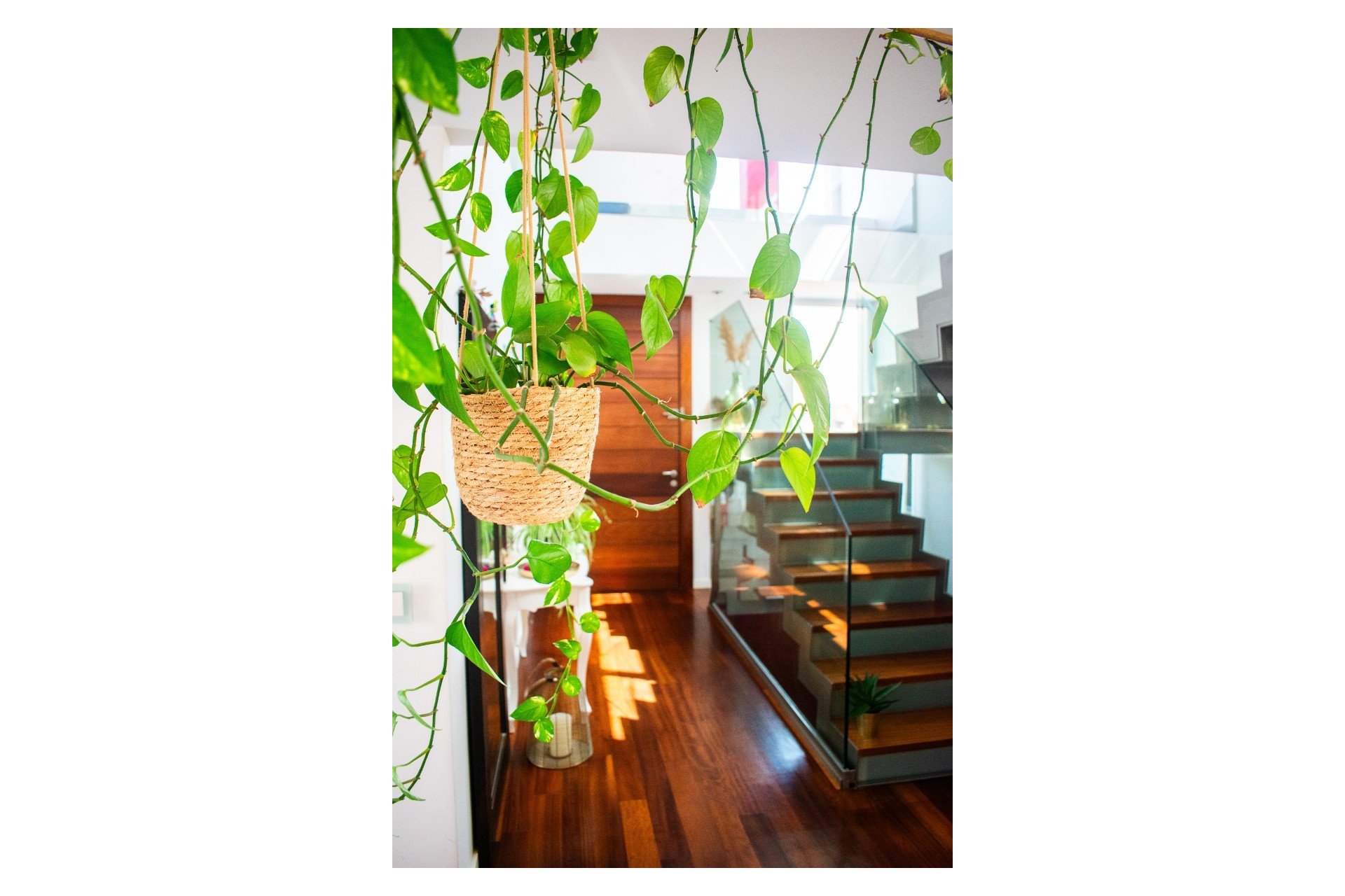 Revente - Villa - San Javier - Santiago De La Ribera