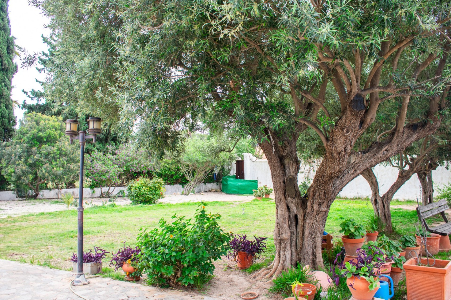 Revente - Villa / Semi detached - Orihuela Costa - Cabo Roig