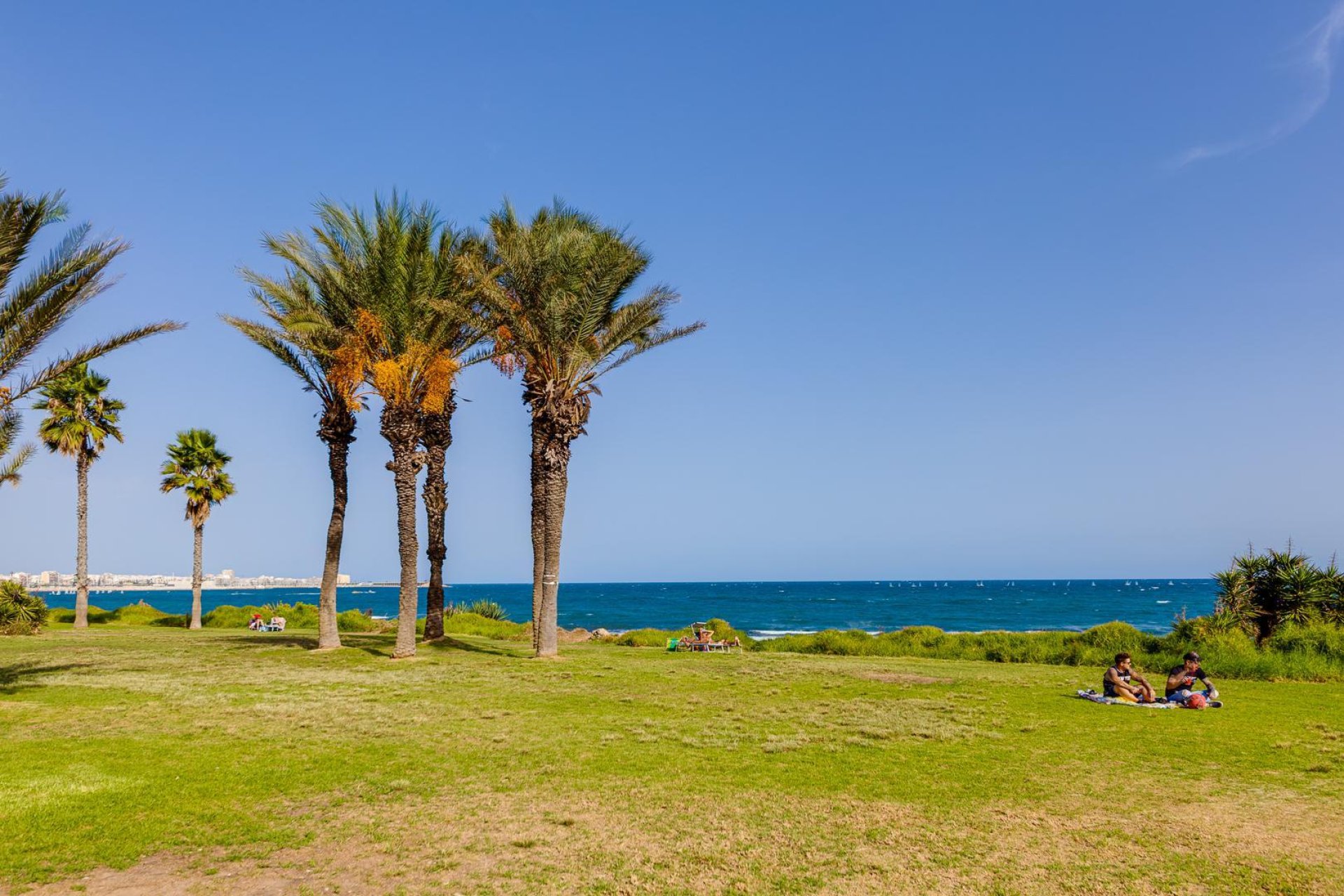 Revente - Villa - Torrevieja - La Veleta