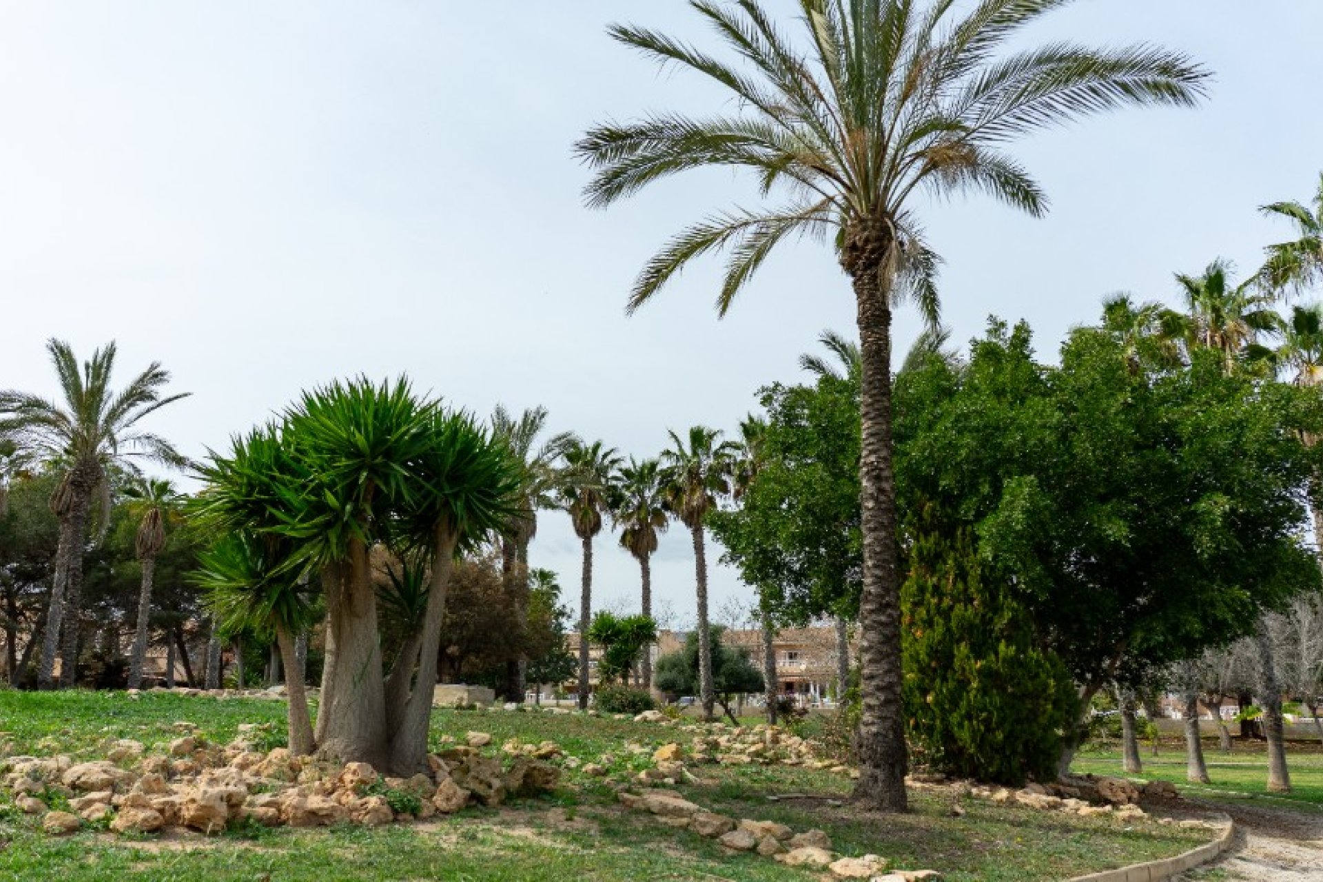 Revente - Villa - Torrevieja - Los Altos