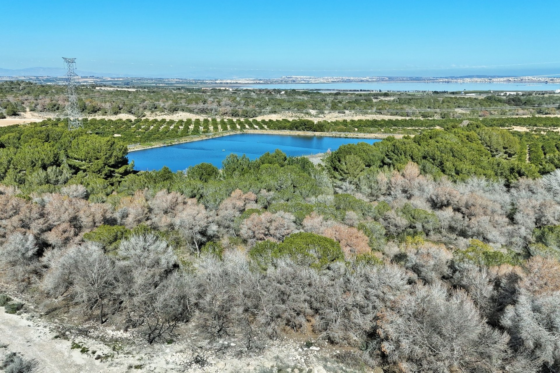 Revente - Villa - Villamartin - Villamartín