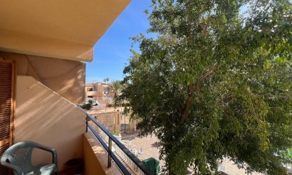 Studio - Revente - Torrevieja - Urb. Rosaleda