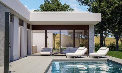 Villa - Nouvelle construction - Pinoso - Lel
