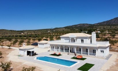 Villa - Nouvelle construction - Pinoso - N-82003