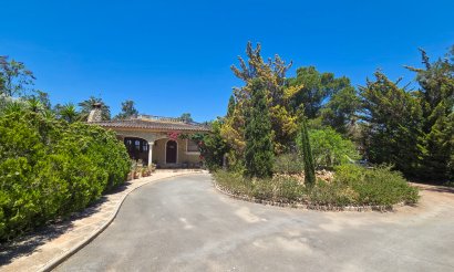 Villa - Resale - Elche - Elche