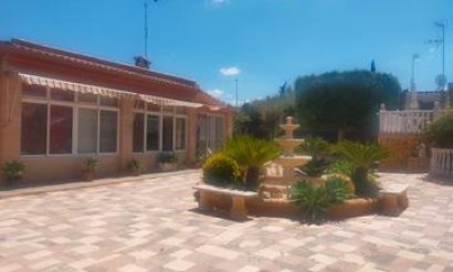Villa - Resale - Elche - Elche