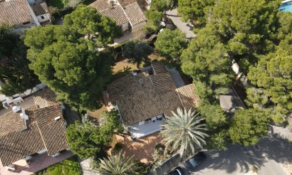 Villa - Reventa - Orihuela Costa - C-22797