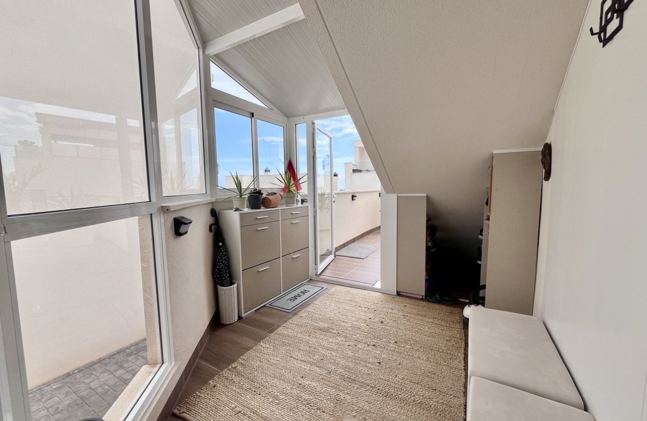 Resale - Apartment / flat - San Miguel de Salinas