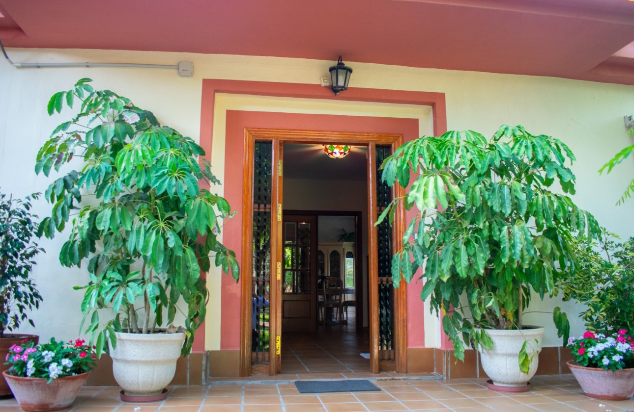 Resale - Villa - Molina De Segura - Torre de Cotillas