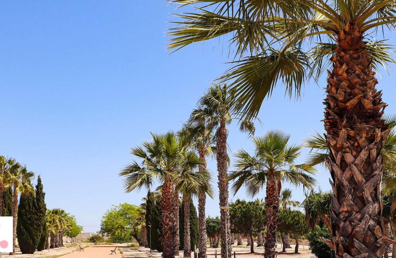 New Build - Villa - San Fulgencio - La Escuera