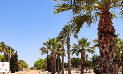 New Build - Villa - San Fulgencio - La Escuera