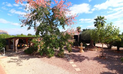 Resale - Villa - Orihuela - La Campaneta