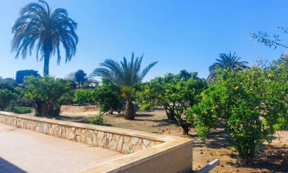 Resale - Villa - La Marina