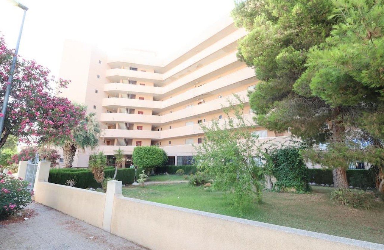 Resale - Commercial - Orihuela Costa - La Zenia