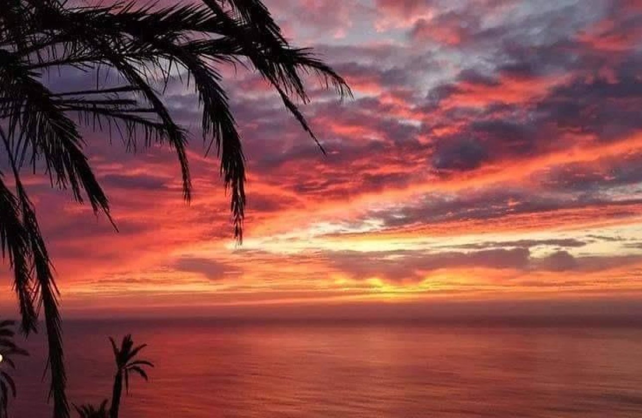 New Build - Bungalow - Torrevieja - Altos del Sol