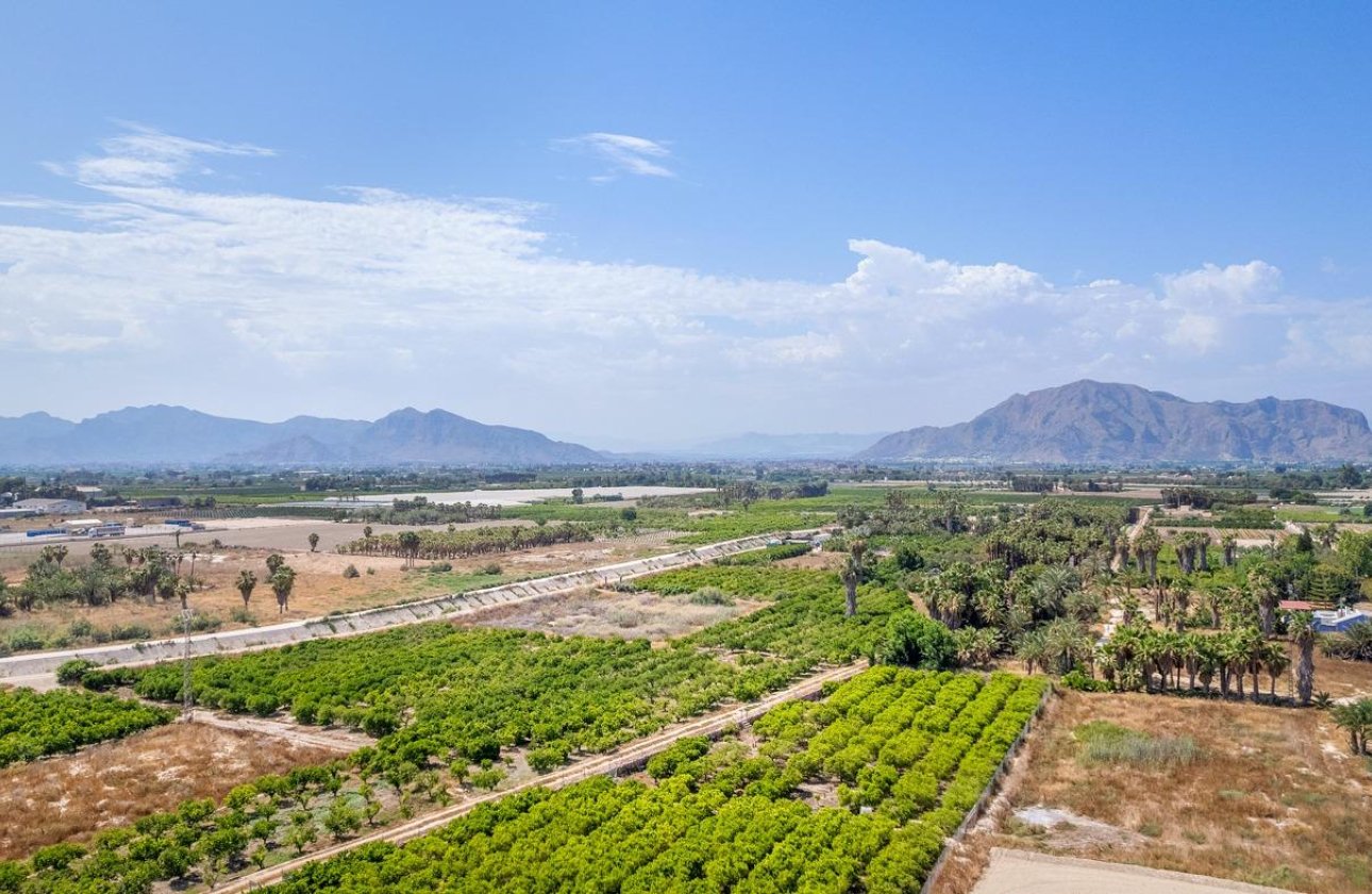 New Build - Penthouse - Jacarilla - pueblo