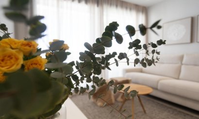 New Build - Apartment / flat - Denia - L´Estanyó (Marinas)