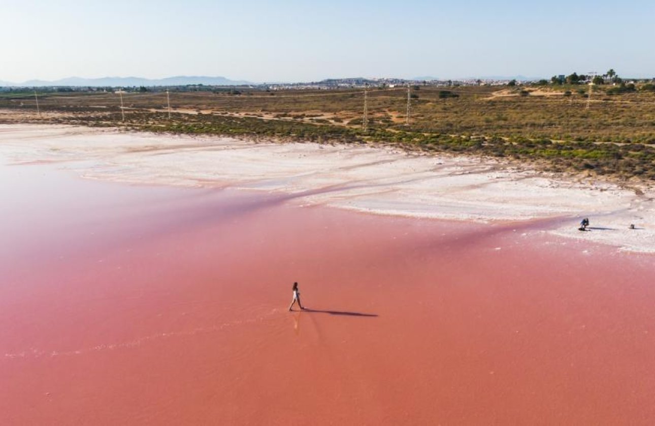 New Build - Apartment / flat - Torrevieja - Habaneras