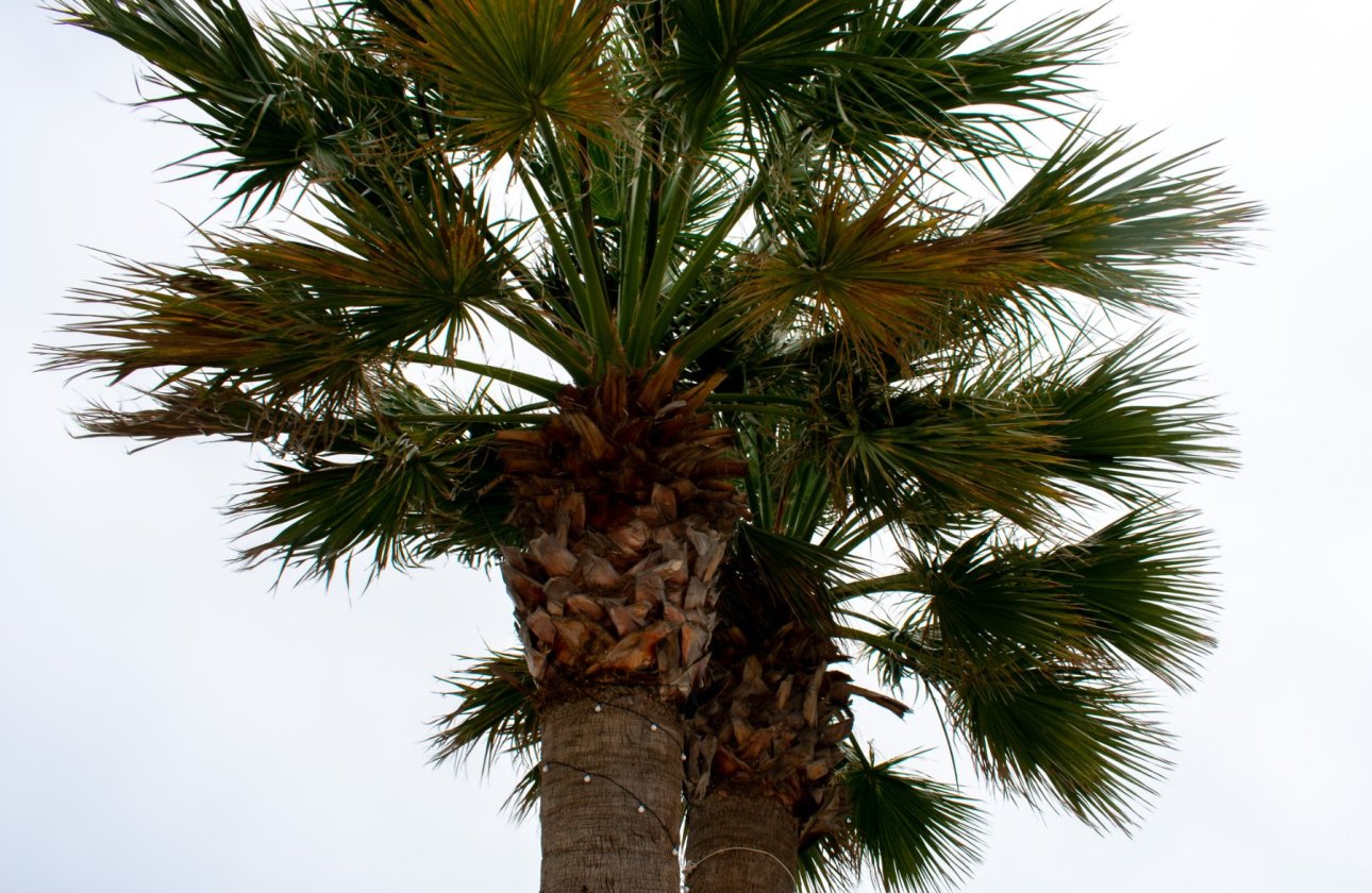 Resale - Villa - Cartagena - La Manga del Mar Menor