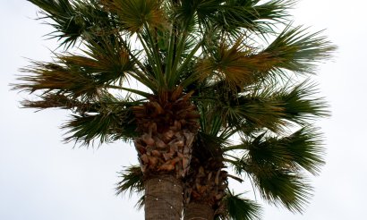 Resale - Villa - Cartagena - La Manga del Mar Menor