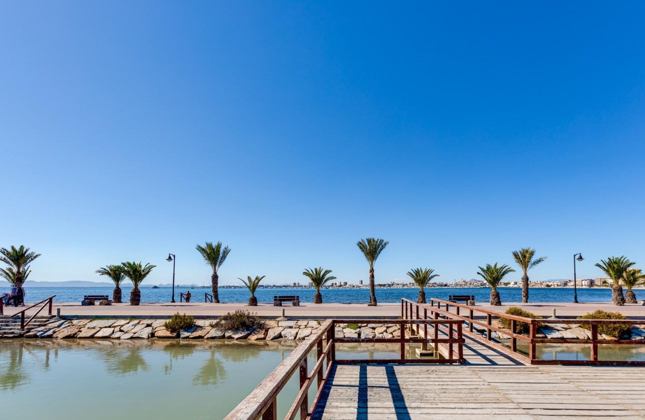 New Build - Villa - Pilar de la Horadada