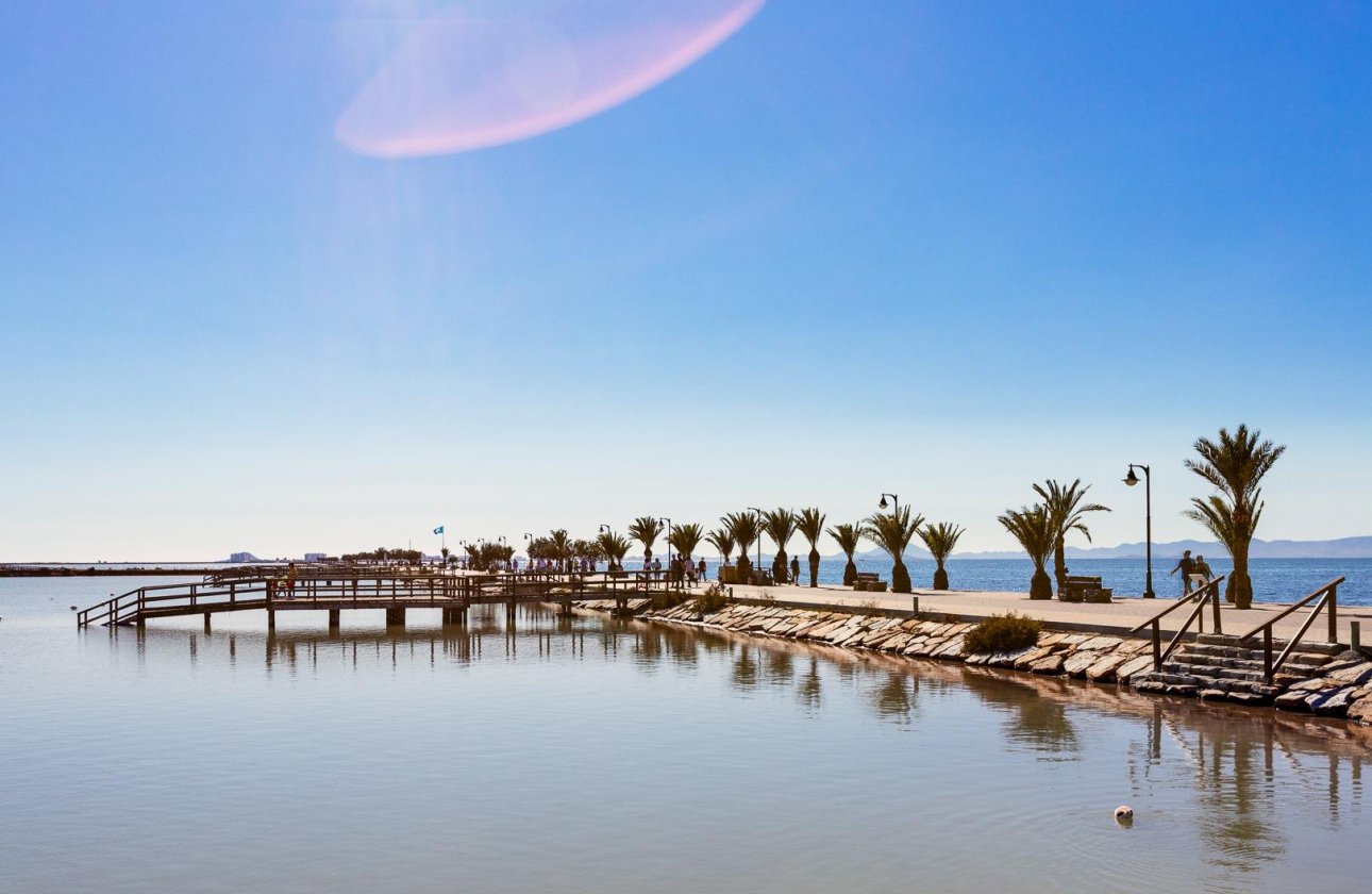 New Build - Villa - Pilar de la Horadada