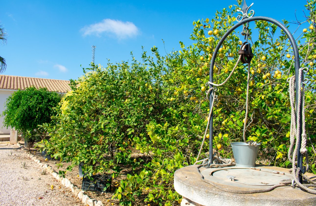 Resale - Villa - Guardamar del Segura - El Raso