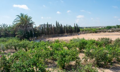 Resale - Villa - Guardamar del Segura - El Raso