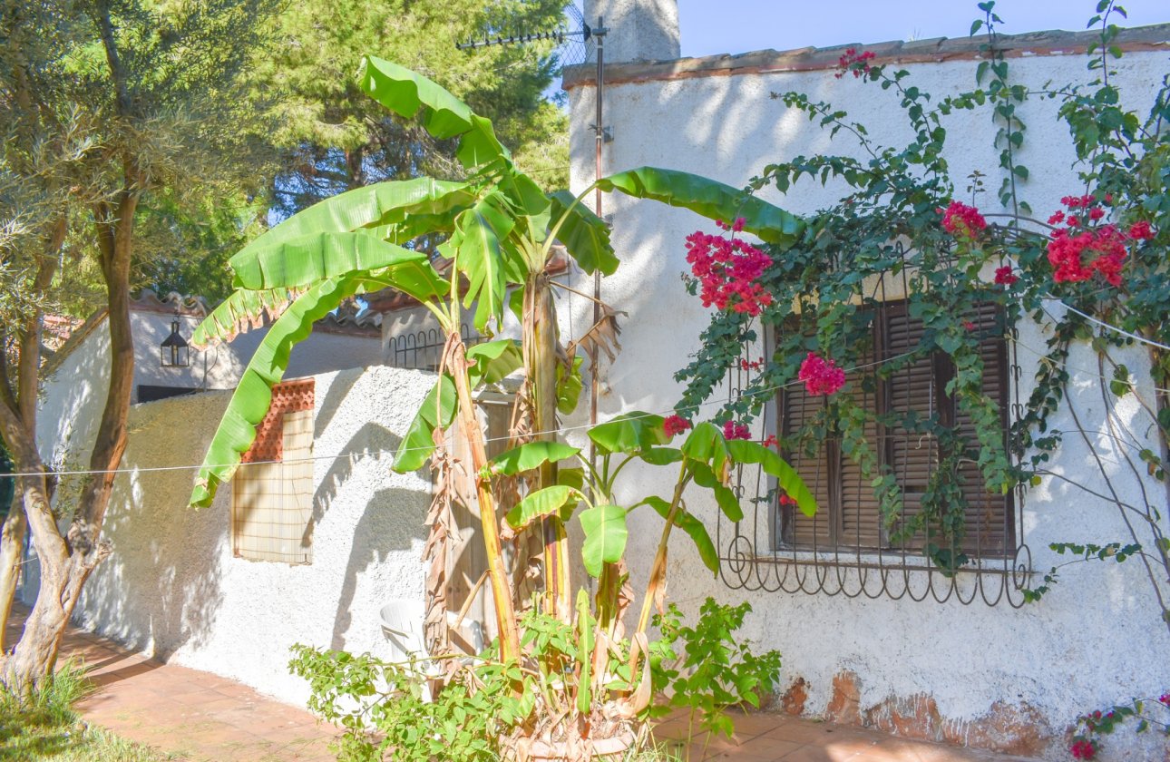 Reventa - Villa - Orihuela Costa - Punta Prima