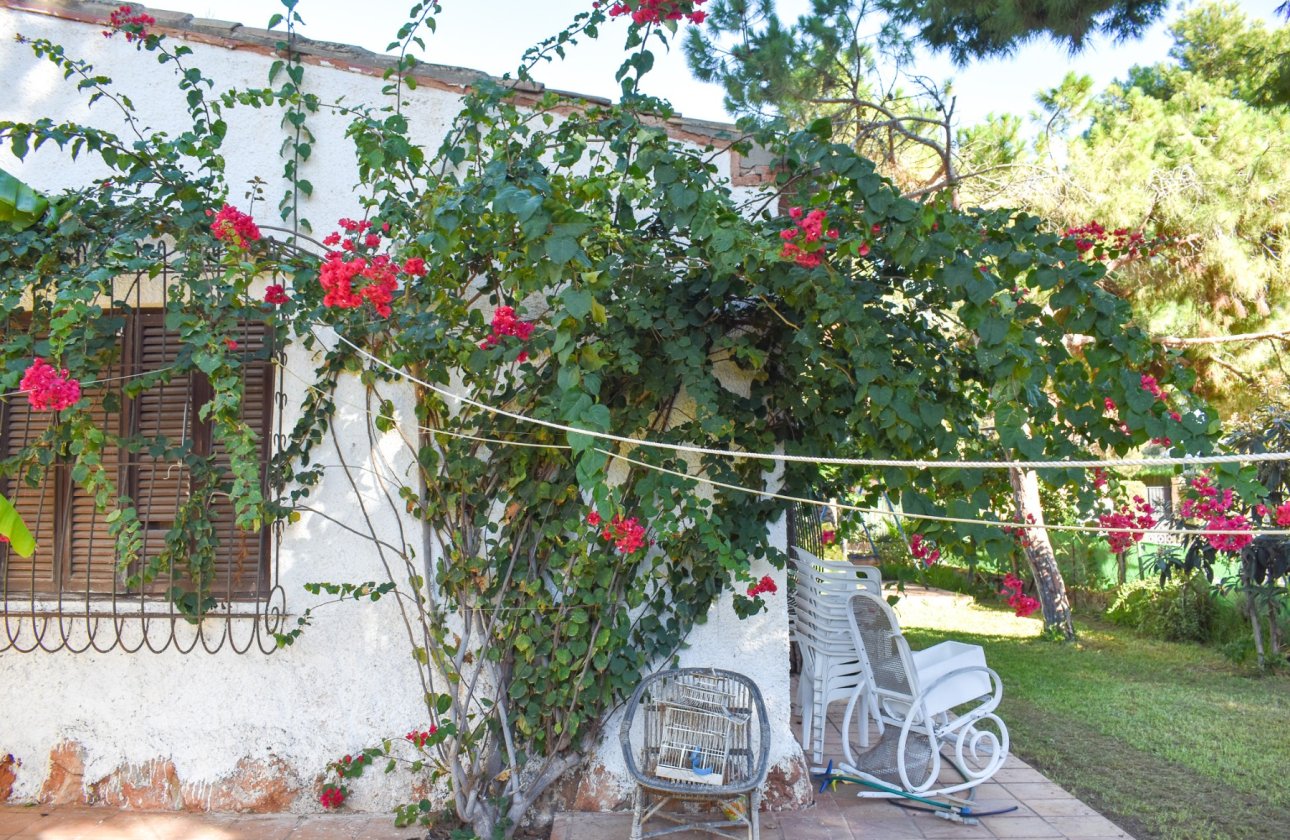 Reventa - Villa - Orihuela Costa - Punta Prima