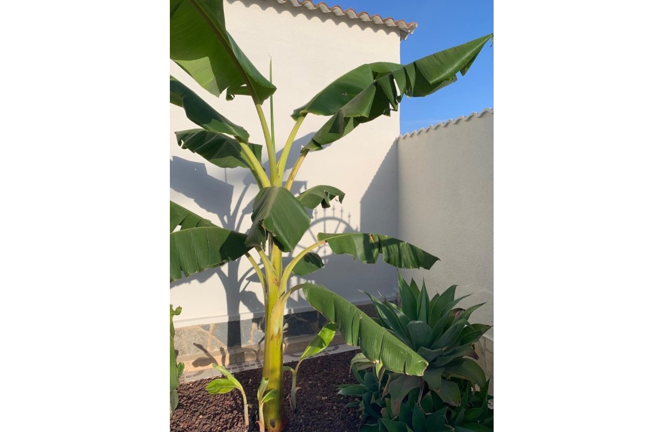 Reventa - Villa - Ciudad Quesada