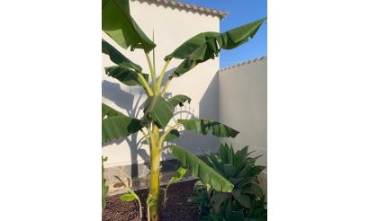 Reventa - Villa - Ciudad Quesada