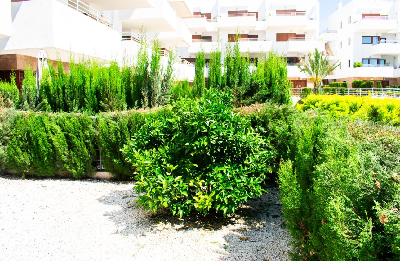 Resale - Apartment / flat - Orihuela Costa - Cabo Roig