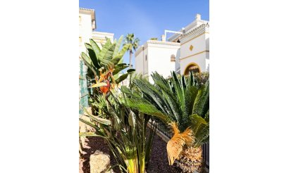 Resale - Penthouse - Torrevieja - Torrelamata - La Mata