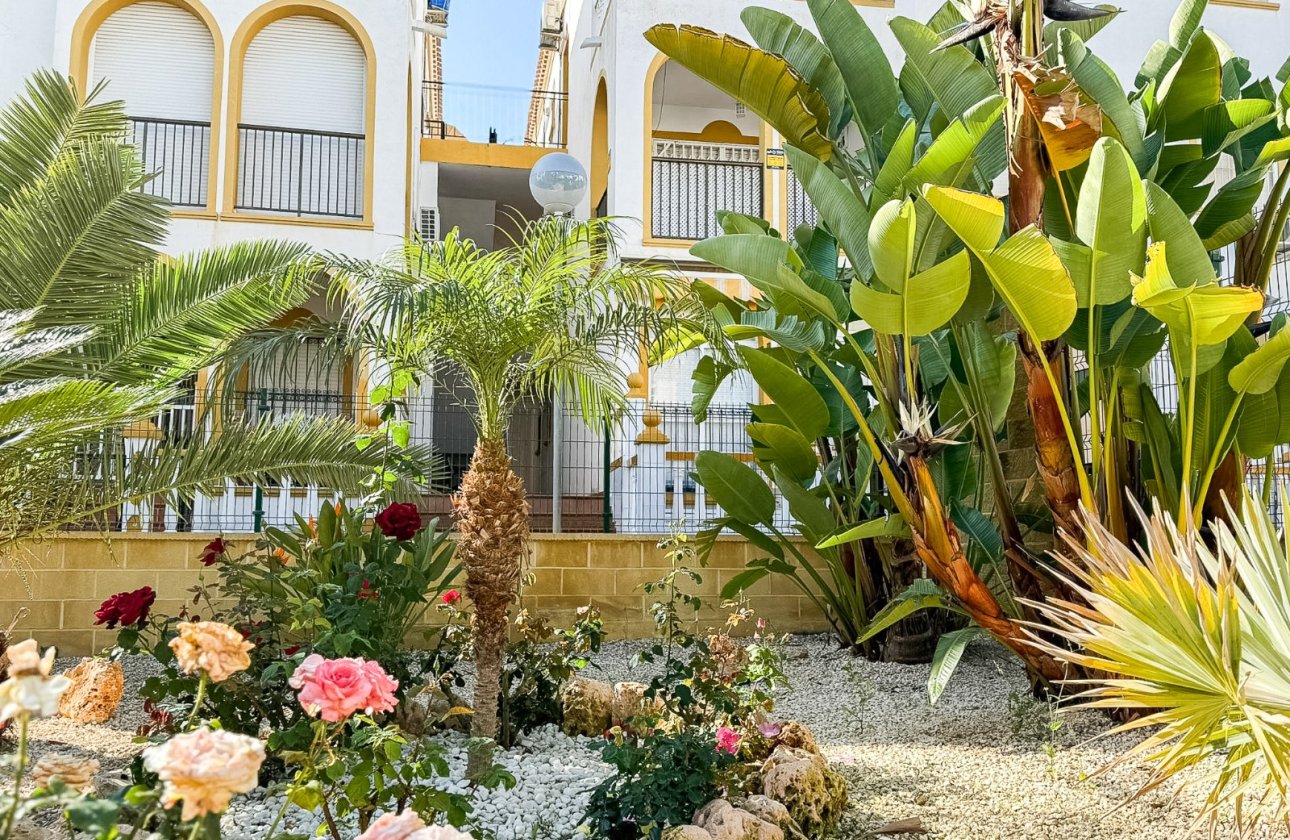 Resale - Penthouse - Torrevieja - Torrelamata - La Mata